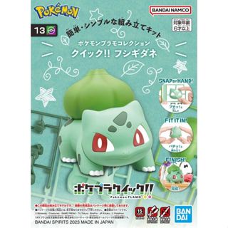 BANDAI 精靈寶可夢 神奇寶貝 Pokemon PLAMO 快組系列 013 妙蛙種子 組裝模型