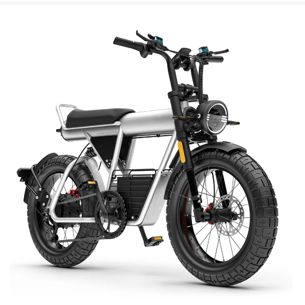 【JOE賣電動車】COSWHEEL CT20S 電動自行車 越野電動車成人腳踏車
