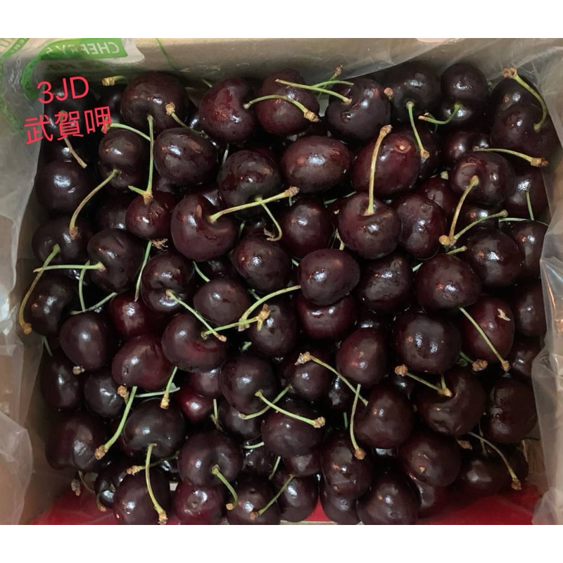 （勿直接下單）夏季櫻桃🍒9R一箱5公斤