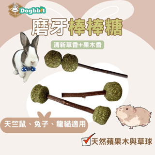 道格兔Dogbbit | 現貨 磨牙棒棒糖 草球 草棒 兔子零食 牧草棒 兔子磨牙 苜蓿草 磨牙棒 草餅 兔子 天竺鼠