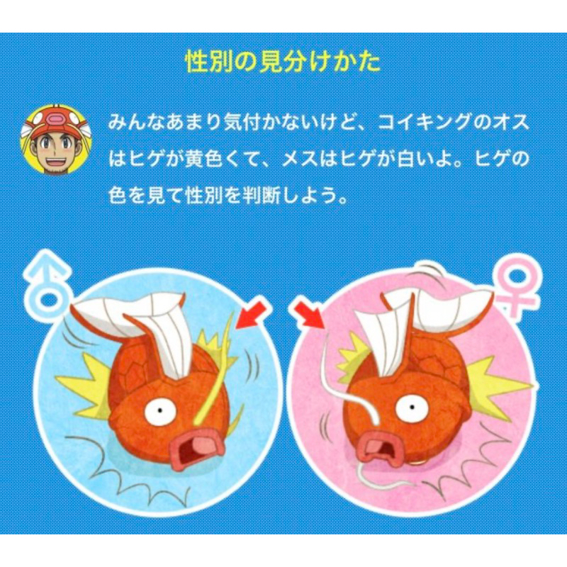 日版 寶可夢pokemon center神奇寶貝中心 鯉魚王 發條轉蛋 扭蛋