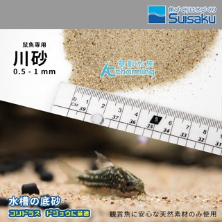 【AC草影】Suisaku 水作 日本鼠魚專用川砂（3L）【一袋】鼠砂 鼠沙 熱帶雨林砂 底棲魚砂 魚缸底土