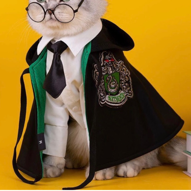 《整套300》貓咪學士服 哈利波特衣服   貓衣服 幼貓衣服 寵物衣 貓衣服 小狗衣服 寵物衣服