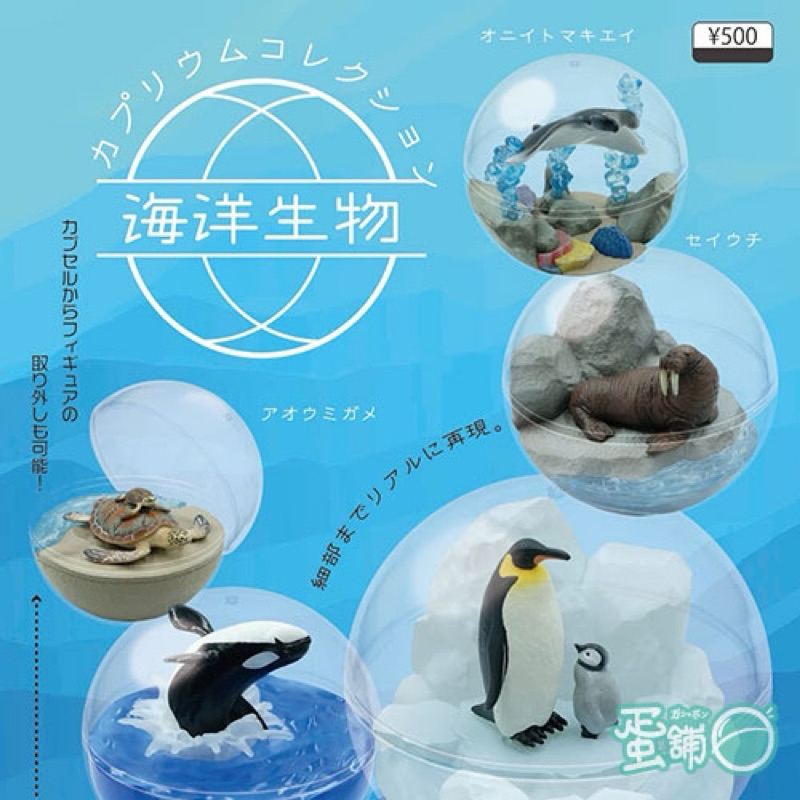 Qualia - カプリウムコレクション海洋生物 (海洋生物生態球)海象