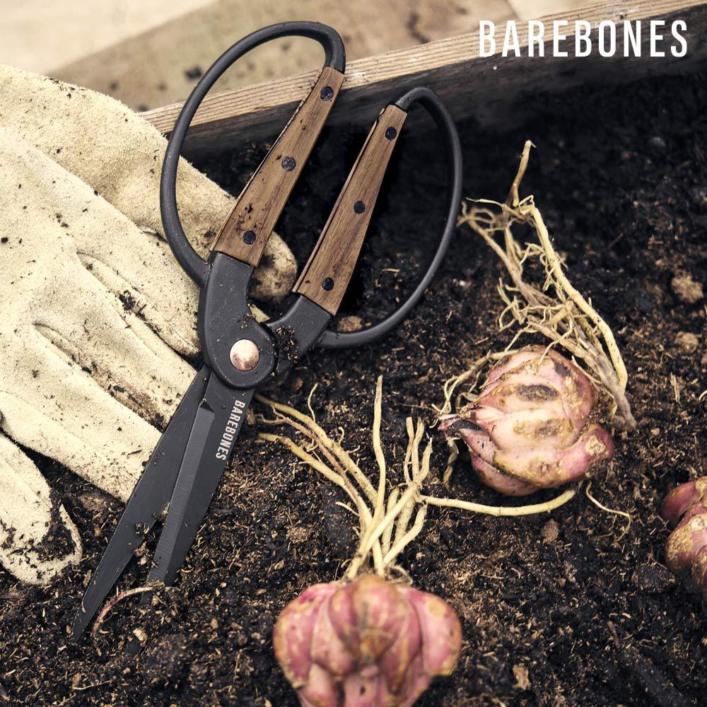 Barebones GDN-058 4吋園藝剪刀 / 不鏽鋼剪刀 核桃木手柄 修枝花剪