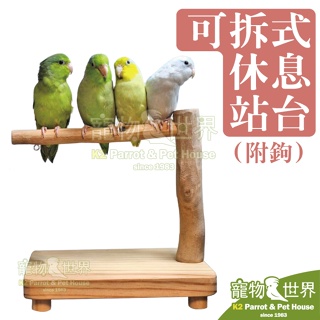 《寵物鳥世界》台灣製 可拆式休息站台(附鉤)│小型中小型鳥鸚鵡 原木休息休憩遊戲台 可掛小玩具方便攜帶 AP026