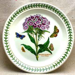 (現貨)英國 Portmeirion 植物園系列 康乃馨 陶瓷盤子 大餐盤 沙拉盤餐盤 居家擺飾 展示盤 點心盤