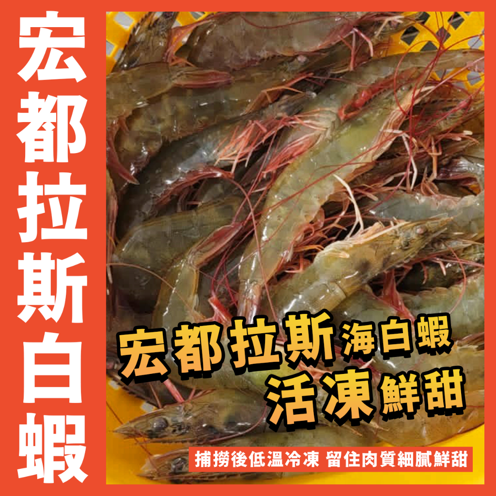 【鮮煮義美食街】宏都拉斯 Choice Shrimp 活凍白蝦／40/50 1.15kg/盒／宏都拉斯白蝦／活凍鮮甜白蝦