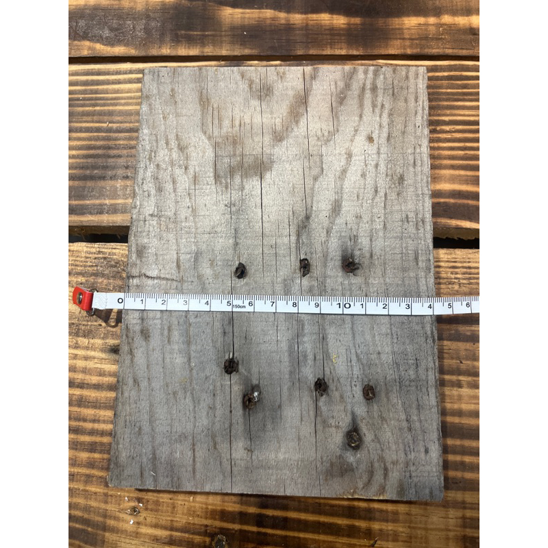自取半價 鹿角蕨 蘭花 鹿角蕨上板 板材 鹿角蕨 碳化木板 碳化板 碳化木 初生樹皮 香檳木 樹皮 椰塊