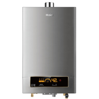 【Haier海爾】DC5 16公升 JSQ31-16NG1/FE 熱水器 智慧恆溫 強制排氣熱水器 詢問更優惠 安裝另計