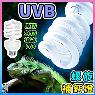 臺灣免運現貨【UVB補鈣燈泡🔥】UVB燈泡 烏龜曬背燈 曬背 曬背燈泡 爬蟲燈泡 補鈣燈 紫外線燈泡 多肉植物燈泡