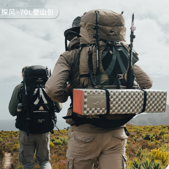 限時免運 台灣現貨 NH挪客 Naturehike 探風✨戶外登山徒步大容量輕量化後背包登山包 70L+5L 四色