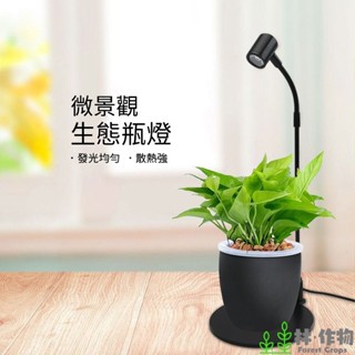 《林作物》現貨 USB 5V LED【苔蘚植物燈】水族燈 水陸燈 生態燈 木板燈 植物生長補光燈 盆景魚缸照明 多肉補光