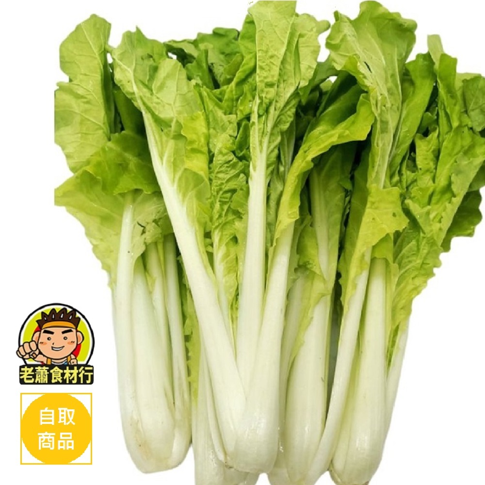 【老蕭食材行】冷藏蔬菜 小白菜 ( 600g/包 ) 青菜 葉菜 綠色蔬菜 → 生鮮蔬果食品類是下訂後 才會新鮮進貨