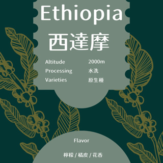宥豆國際咖啡生豆｜衣索比亞 西達摩 水洗 咖啡生豆500克