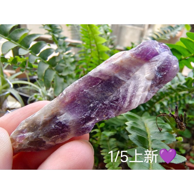 紫水晶原礦 夢幻紫水晶 權杖水晶 骨幹 隨身礦-B