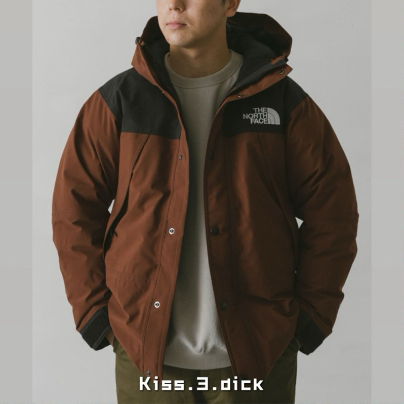 [ND92237]🇯🇵THE NORTH FACE MOUNTAIN DOWN JACKET 山地衝鋒羽絨外套