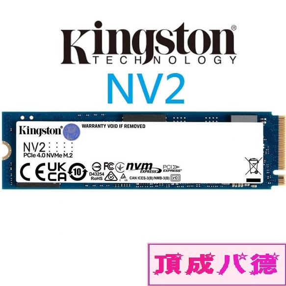 金士頓 Kingston NV2 500GB 1TB 1T 2TB 2T Gen4 PCIe SSD固態硬碟 SNV2S