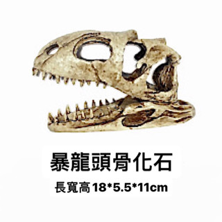 🔥專接急單 暴龍頭骨化石 擺飾 造景 模型 樹脂 水族箱 魚缸造景 恐龍化石 躲避洞