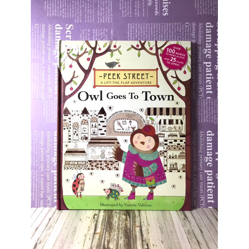 ▪️ 書況近新/繪本/硬頁書/英文繪本/Peek Street: Owl Goes To Town/原價$750/找找書