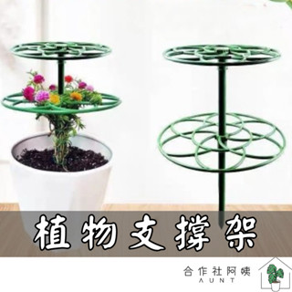 【臺灣現貨-可疊加高】花架 植物支撐桿 固定攀爬架 爬藤架 園藝造型支架 花卉支架 園藝支架 花盆支架 園藝支撐架