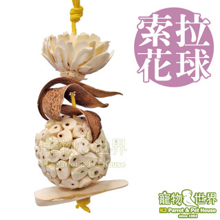 Amigo阿迷購 美國帕麗 索拉花球 │天然植物啃咬破壞 中小型鸚鵡鳥玩具 墨魚骨磨嘴《寵物鳥世界》AM0636