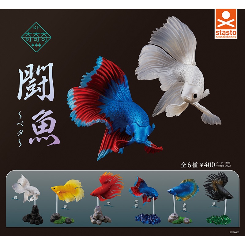 [御宅族] Standstones 代理 轉蛋 扭蛋 鬥魚 Betta 全6種 現貨