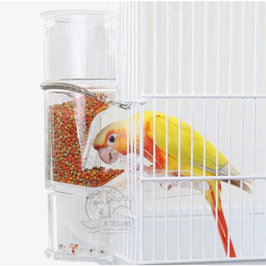 金瑞成鳥園-&gt;自動餵食器/防潑餵食器飼料盒/適合中小型鸚鵡以下
