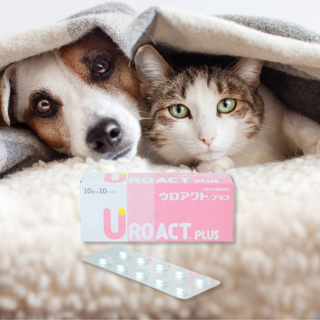 日本全藥 UROACT Plus 泌尿加強錠 升級版 犬貓用 公司貨
