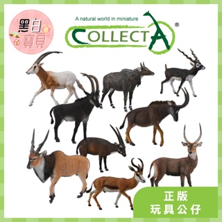 【台灣現貨】collectA動物模型 彎角劍羚 印度黑羚 羅馬羚羊 藍牛羚 中南大羚 大伊蘭羚羊 水羚 跳羚 羚羊