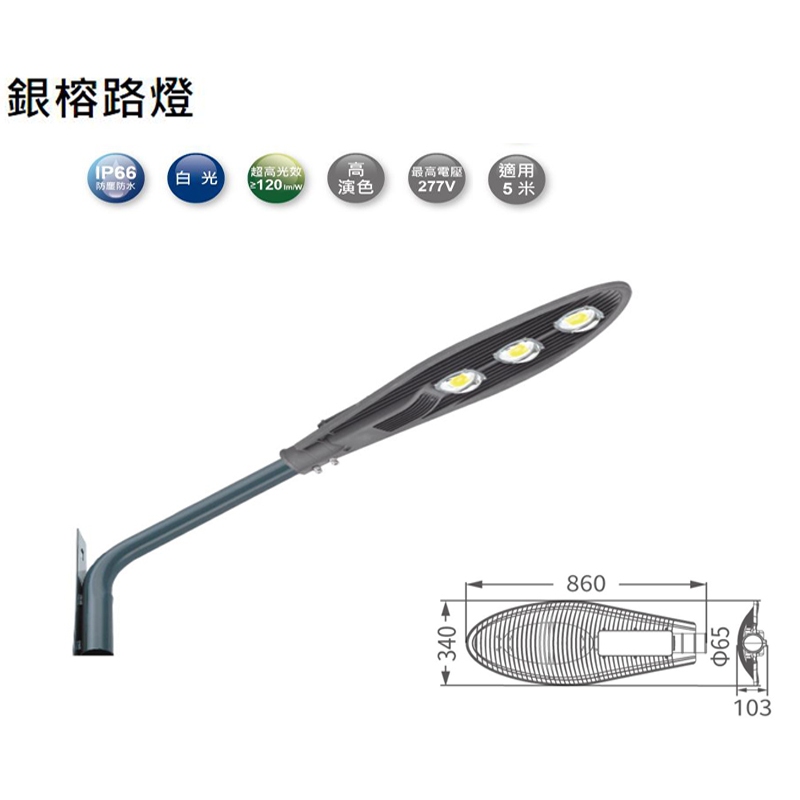 【燈王的店】舞光 LED 150W 銀榕路燈 (OD-10076R3) 庭園燈 LED戶外燈具