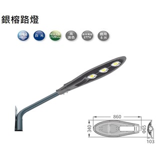 【燈王的店】舞光 LED 150W 銀榕路燈 (OD-10076R3) 庭園燈 LED戶外燈具