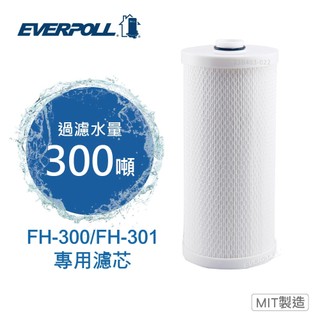 【EVERPOLL】全戶濾淨雙效濾芯FH-030 (FH-300/FH-301專用濾芯)