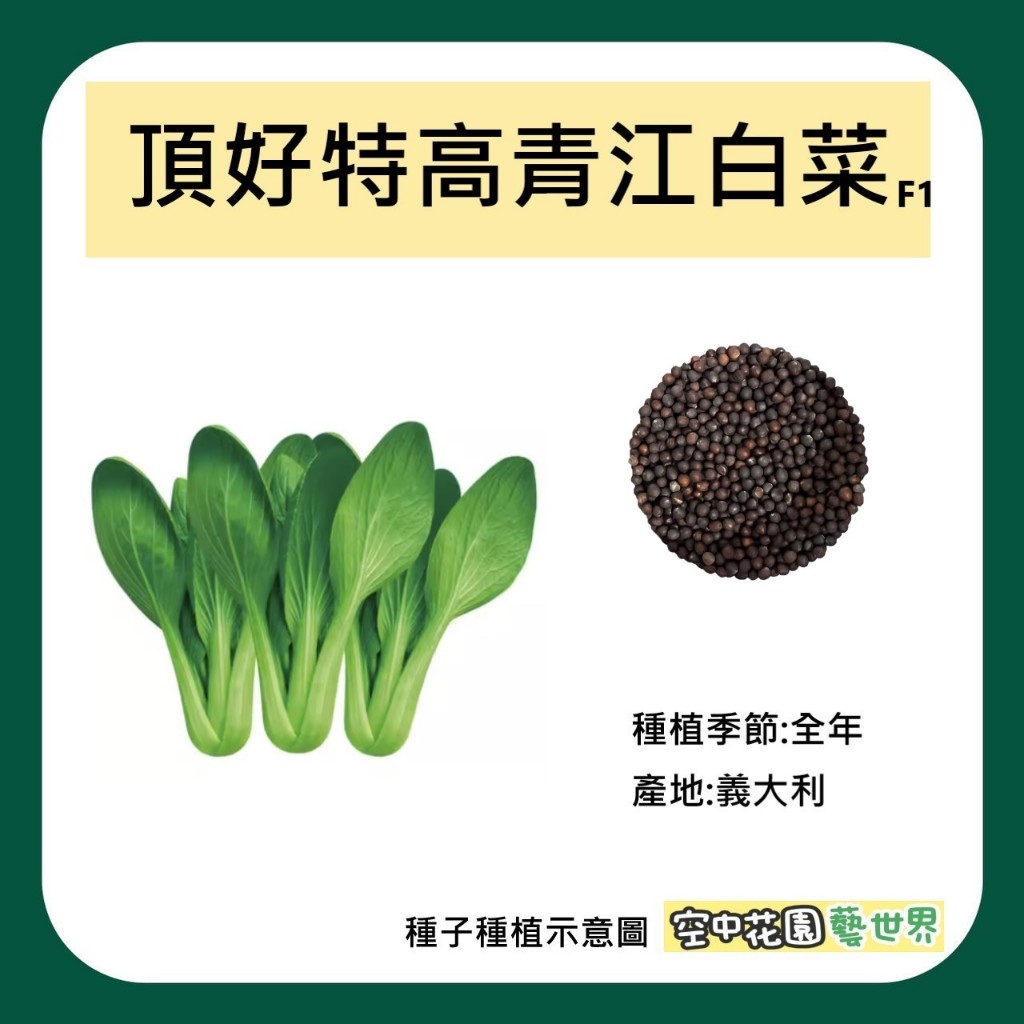 【台灣出貨 電子發票】頂好特高青江白菜種子 1g(約300顆) F1 菜籽 種子 青江菜 湯匙菜 空中花園藝世界