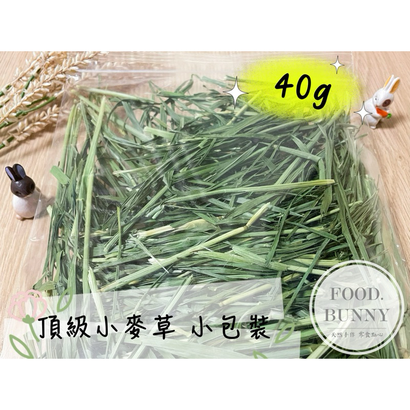 | Food bunny |  日常頂級草🌿小麥草 小包裝 40g 牧草 兔子龍貓天竺鼠 提摩西 苜蓿草 甜燕麥 黑麥草