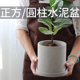 《臺灣現貨》正方/圓柱水泥盆 皆有附水泥底盆 工業風 觀葉植物 龜背芋 花盆 北歐簡約