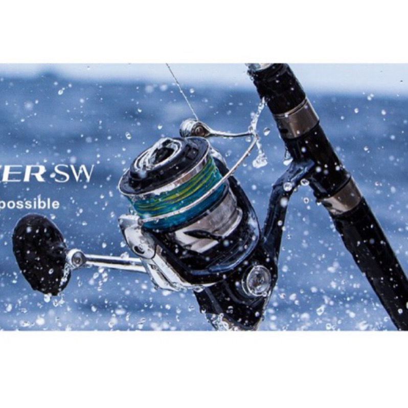 Shimano TwinPower SW 代理商公司貨 岸拋 船拋 船釣 鐵板 岸釣 沉底 大物捲 路亞 頂規 TP