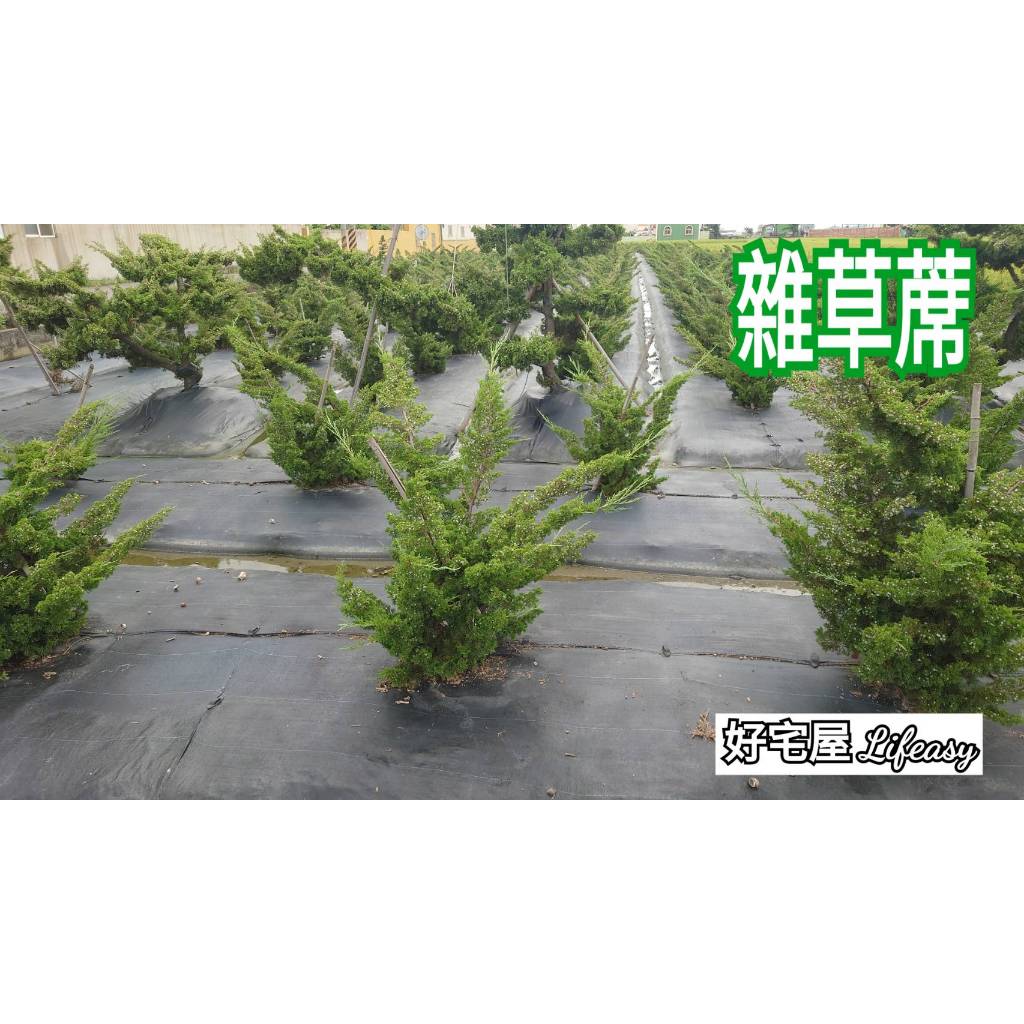 【好宅屋】台灣製 雜草蓆 2尺/3尺 長度:50米 雜草蓆抑制蓆 抑草蓆 防草布 塑膠布 邊坡防草