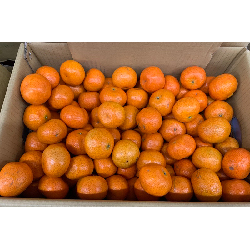 珍珠砂糖橘5斤禮盒裝（可一次購買2箱