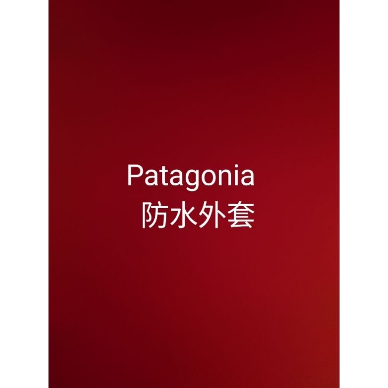 Patagonia 外套 slate sky (全新