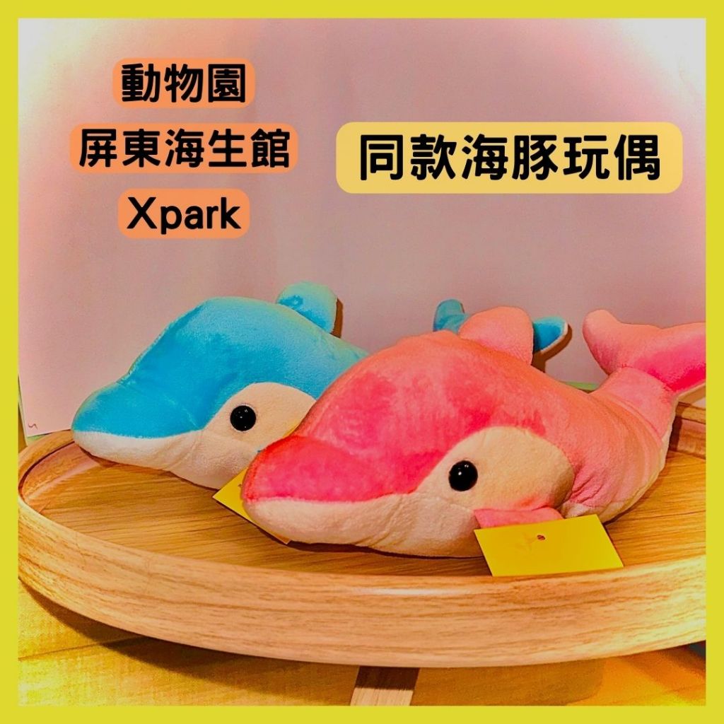 【水族館同款熱銷】  9吋 / 12吋 海豚 玩偶 Xpark 木柵動物園 屏東海生館 同款