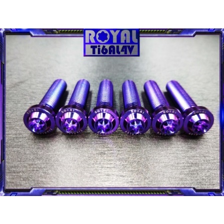 🌟ROYAL 鈦合金螺絲 M10*45F 牙距 P1.25 P1.5 64正鈦螺絲 M10X45🌟