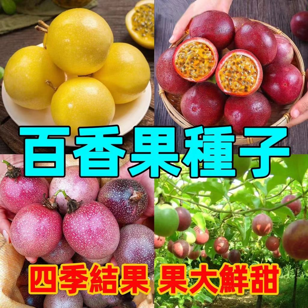 新竹出貨💎百香果種子💎四季百香果種子 黃金百香果種子 台農一號 全年播種 四季結果 營養豐富水果 爬藤水果 發芽率高