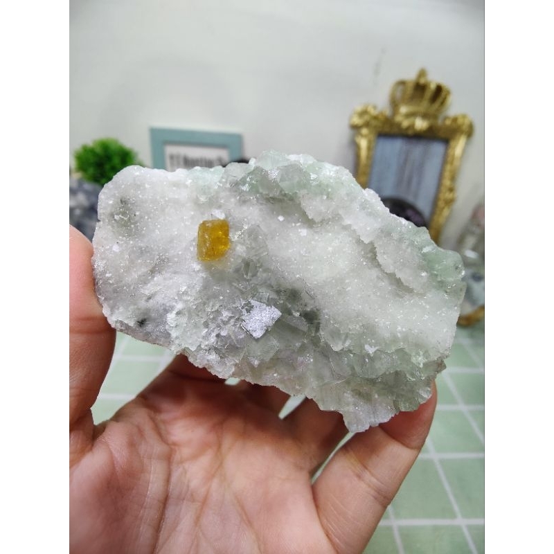 [My mine] 編號ZJ-3008563247-超值特價-江西綠萤石黄重晶石石英共生原礦原石-像個小狗頭