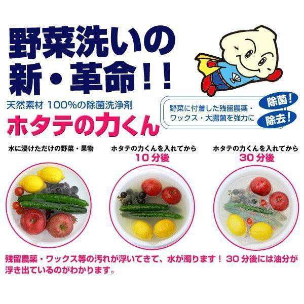 日本製 海の野菜洗 100% 扇貝殼粉 |天然消毒清潔劑 萬用清潔粉 蔬果洗潔粉