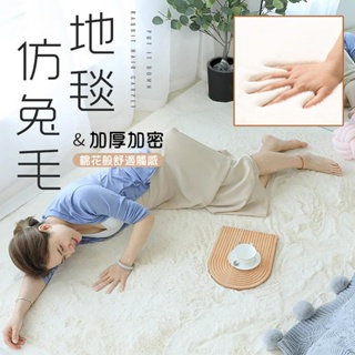 【客製化地毯 | 3cm |擼貓感】 仿兔毛地毯 客廳地毯 加厚加密 室內地毯 長毛地毯 短毛地毯 床邊毯