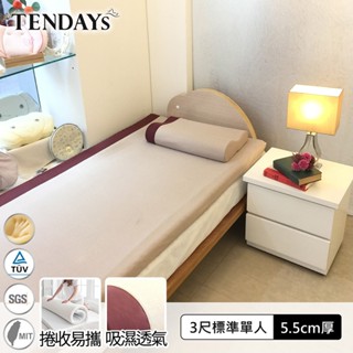 【TENDAYS】記憶床墊 玩色柔眠床墊 3尺標準單人 焦糖莓（5.5cm厚）舒壓 買床送枕