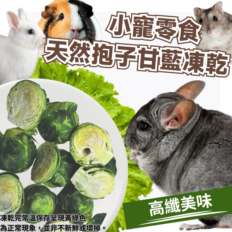 (快速現貨/無添加)小寵零食 小動物天然孢子甘藍凍乾 倉鼠零食 黃金鼠零食 兔子零食 龍貓零食 倉鼠凍乾 迷你高麗菜