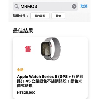 【216永恆】Apple Watch Series 9 GPS + Cellular 45mm 銀色不鏽鋼錶殼 銀色米蘭