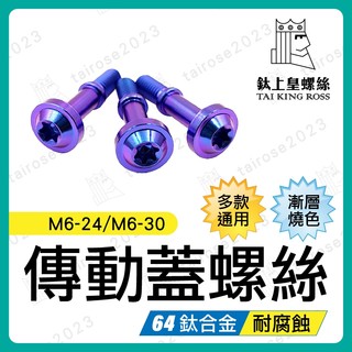 【鈦上皇】傳動蓋螺絲 M6-24 M6-30（寶藍色）傳動螺絲 正鈦螺絲 鈦合金螺絲 鈦螺絲 車牌螺絲